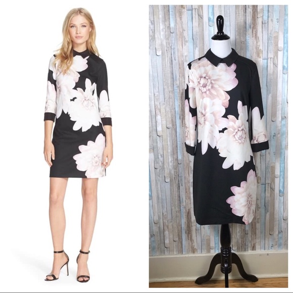 Ted Baker Dresses & Skirts - Ted Baker 3 Retro Collar Floral Kida Sheath Dress